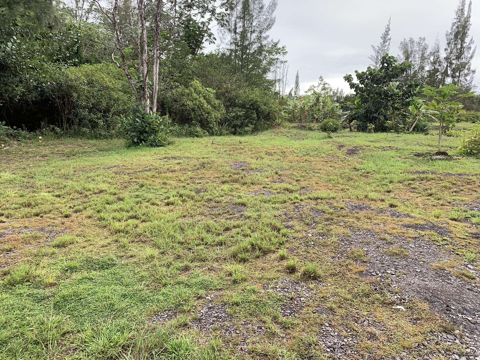 1 Acre of Residential Land for Sale in Keaau, Hawaii