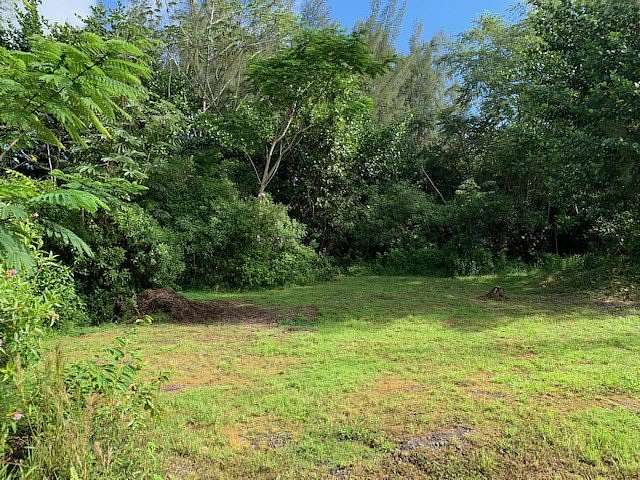 1 Acre of Residential Land for Sale in Keaau, Hawaii