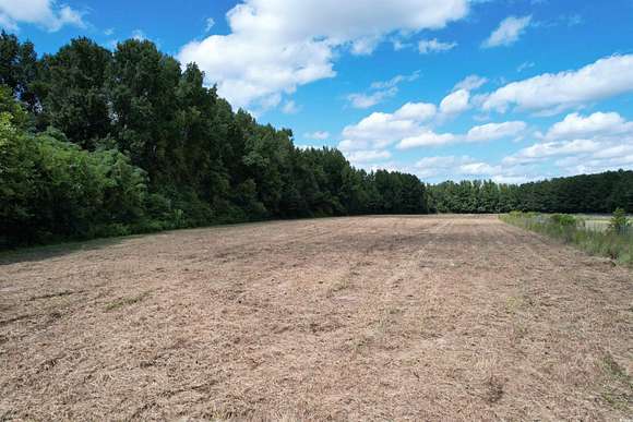 14.1 Acres of Land for Sale in Kingstree, South Carolina