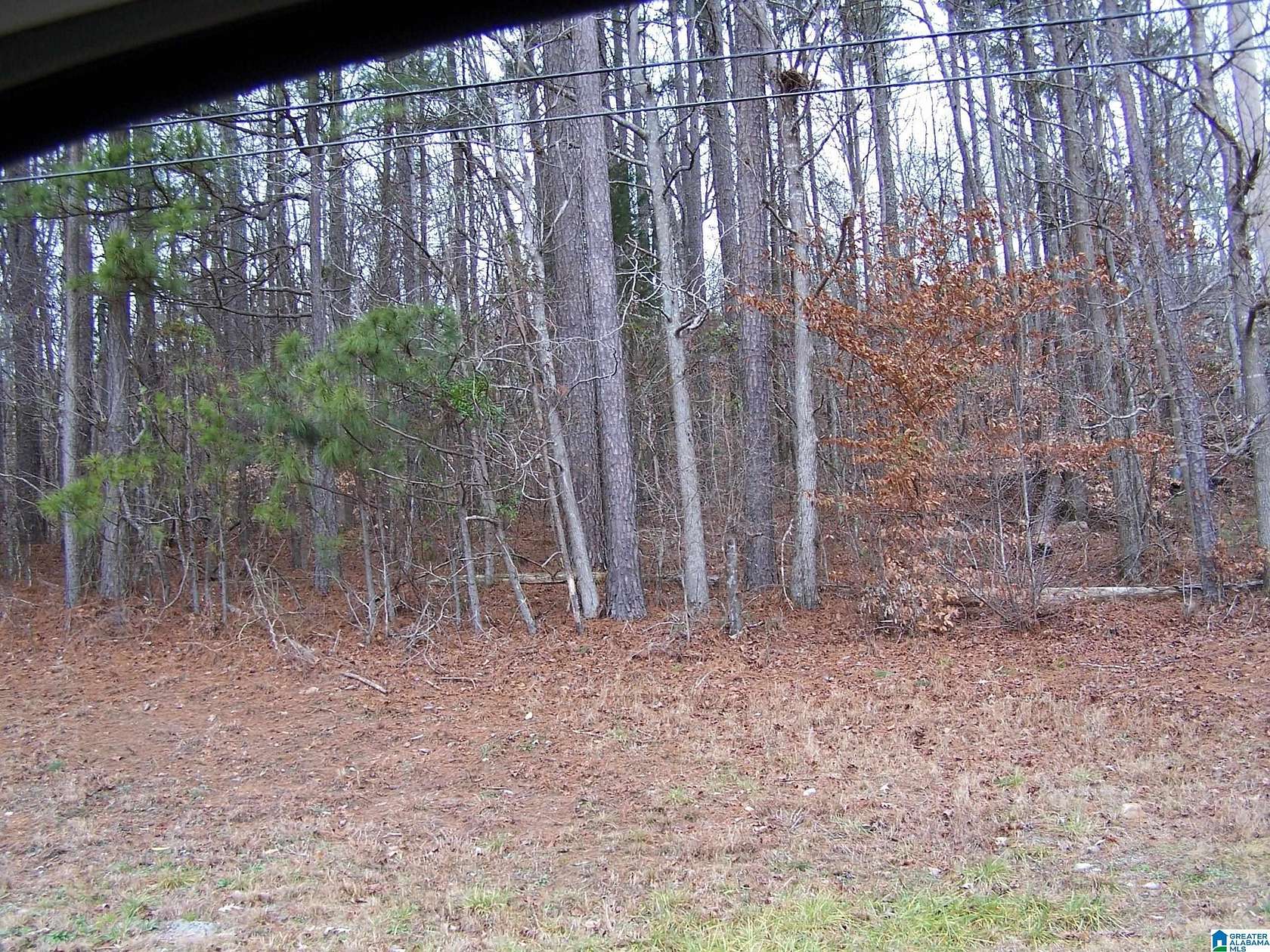 1 Acre of Land for Sale in Oneonta, Alabama