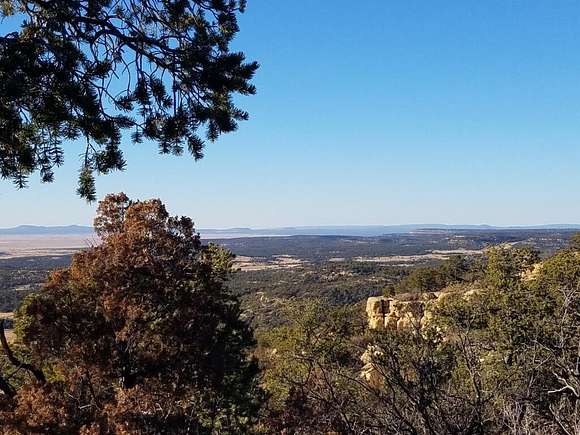 21.16 Acres of Land for Sale in Pie Town, New Mexico