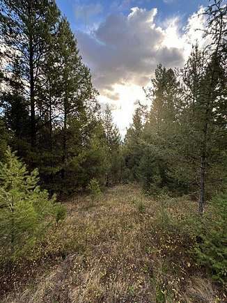 20.079 Acres of Recreational Land for Sale in Philipsburg, Montana