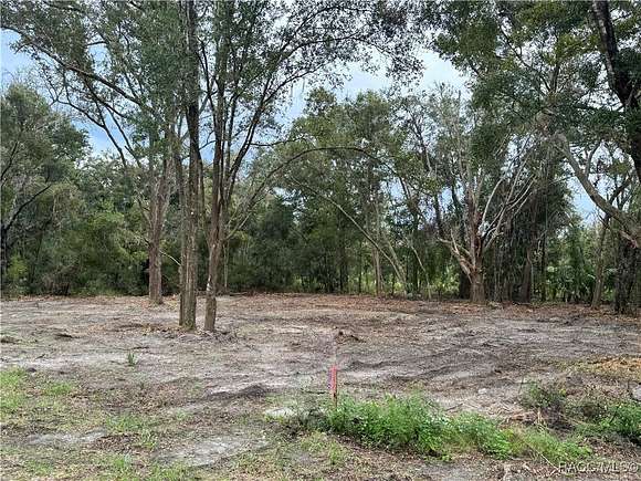 0.29 Acres of Residential Land for Sale in Crystal River, Florida