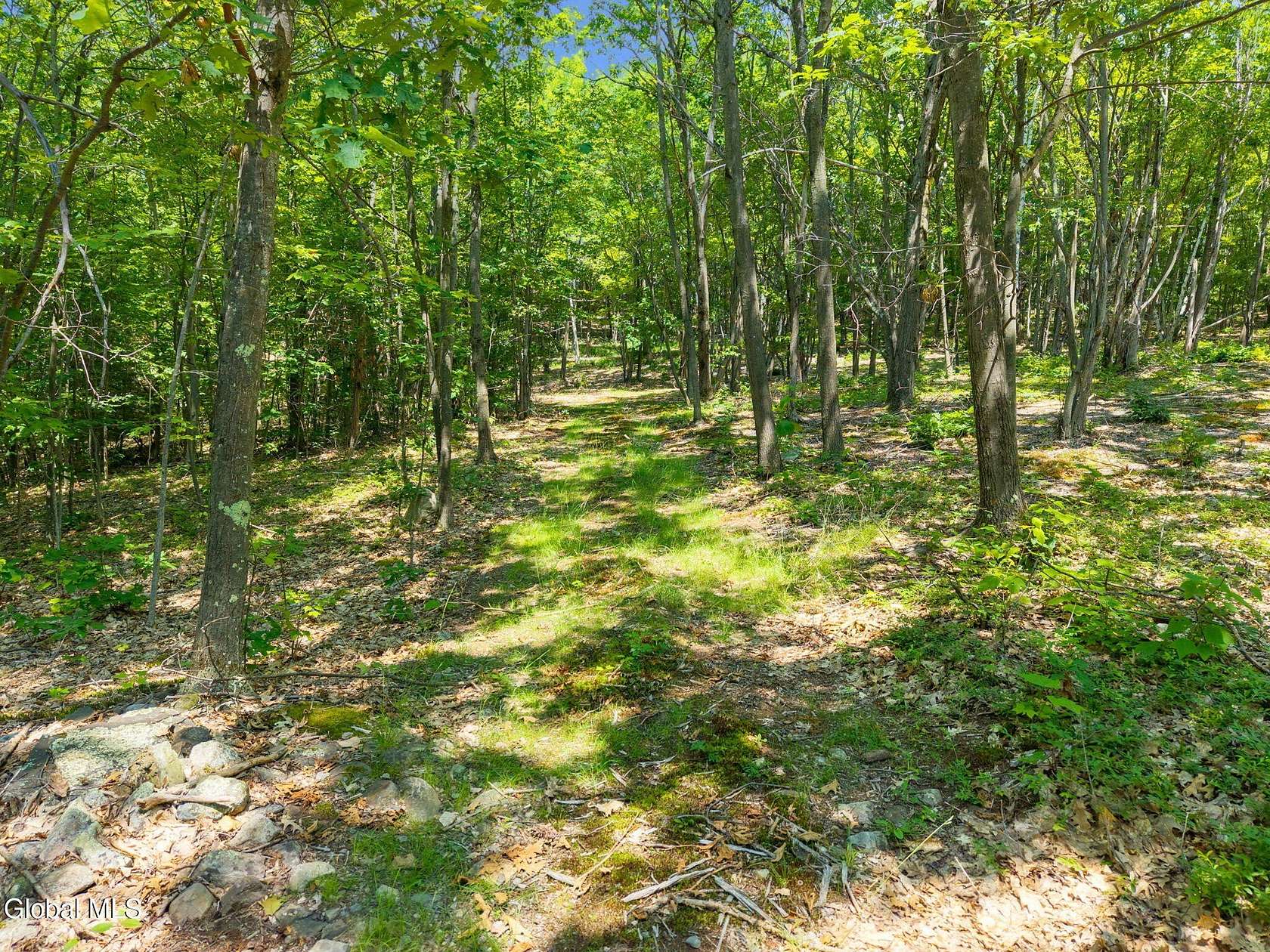 18.5 Acres of Recreational Land for Sale in Richmondville, New York