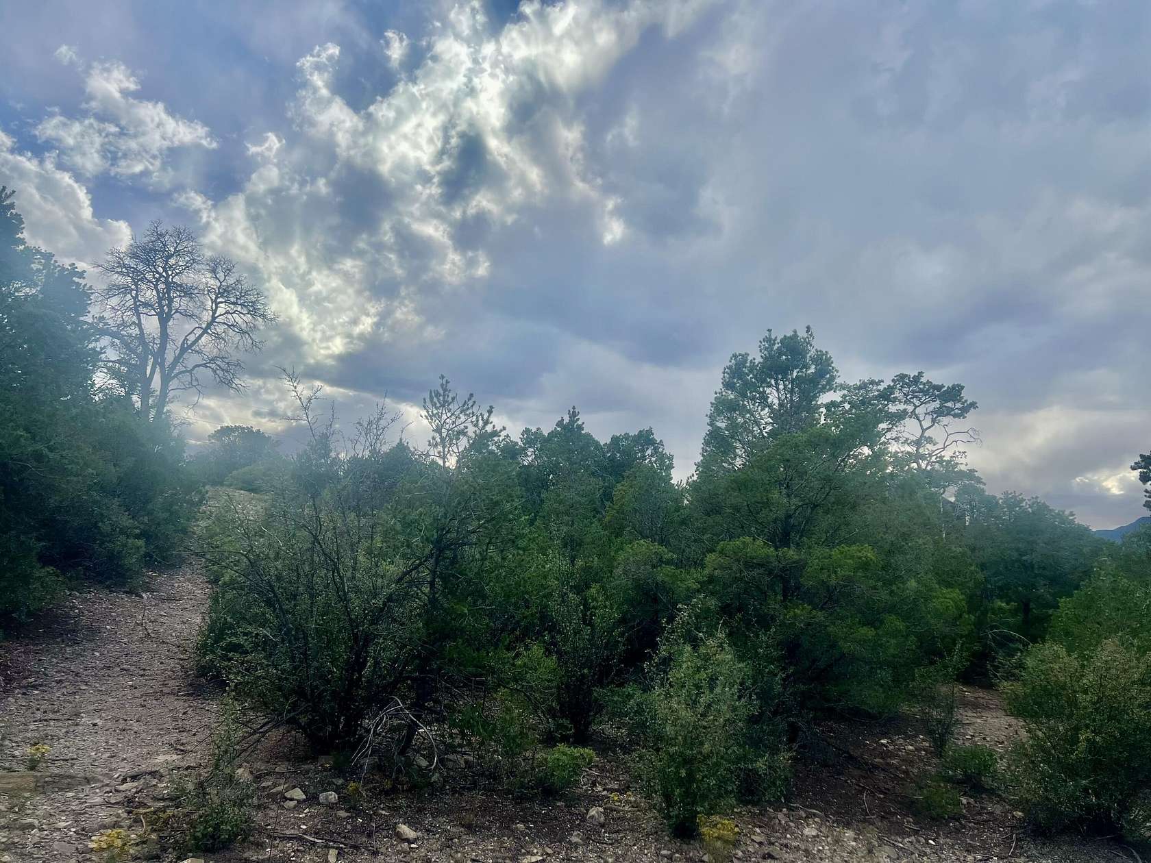 0.51 Acres of Residential Land for Sale in Sandia Park, New Mexico