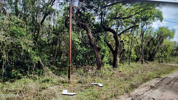 0.26 Acres of Land for Sale in Interlachen, Florida