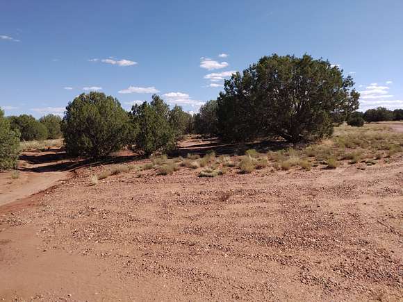 1.12 Acres of Residential Land for Sale in Snowflake, Arizona