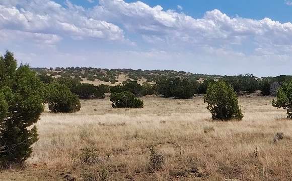 1.05 Acres of Residential Land for Sale in Concho, Arizona