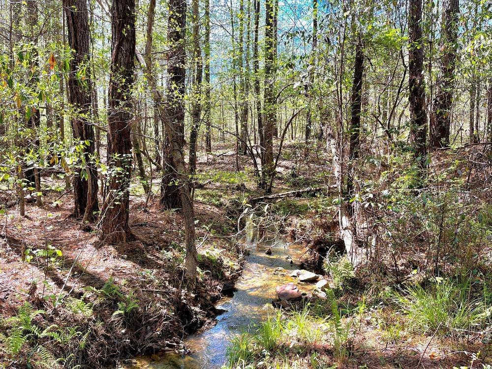 115 Acres of Recreational Land for Sale in Vance, Alabama