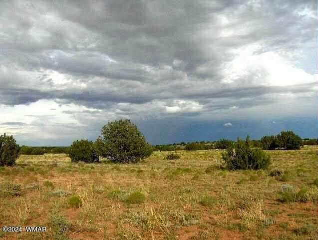 40.07 Acres of Land for Sale in Heber, Arizona