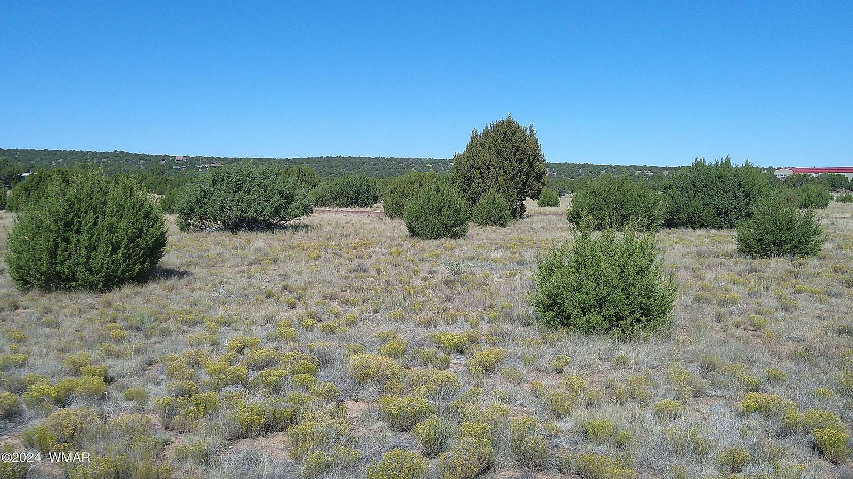 1.26 Acres of Residential Land for Sale in Concho, Arizona