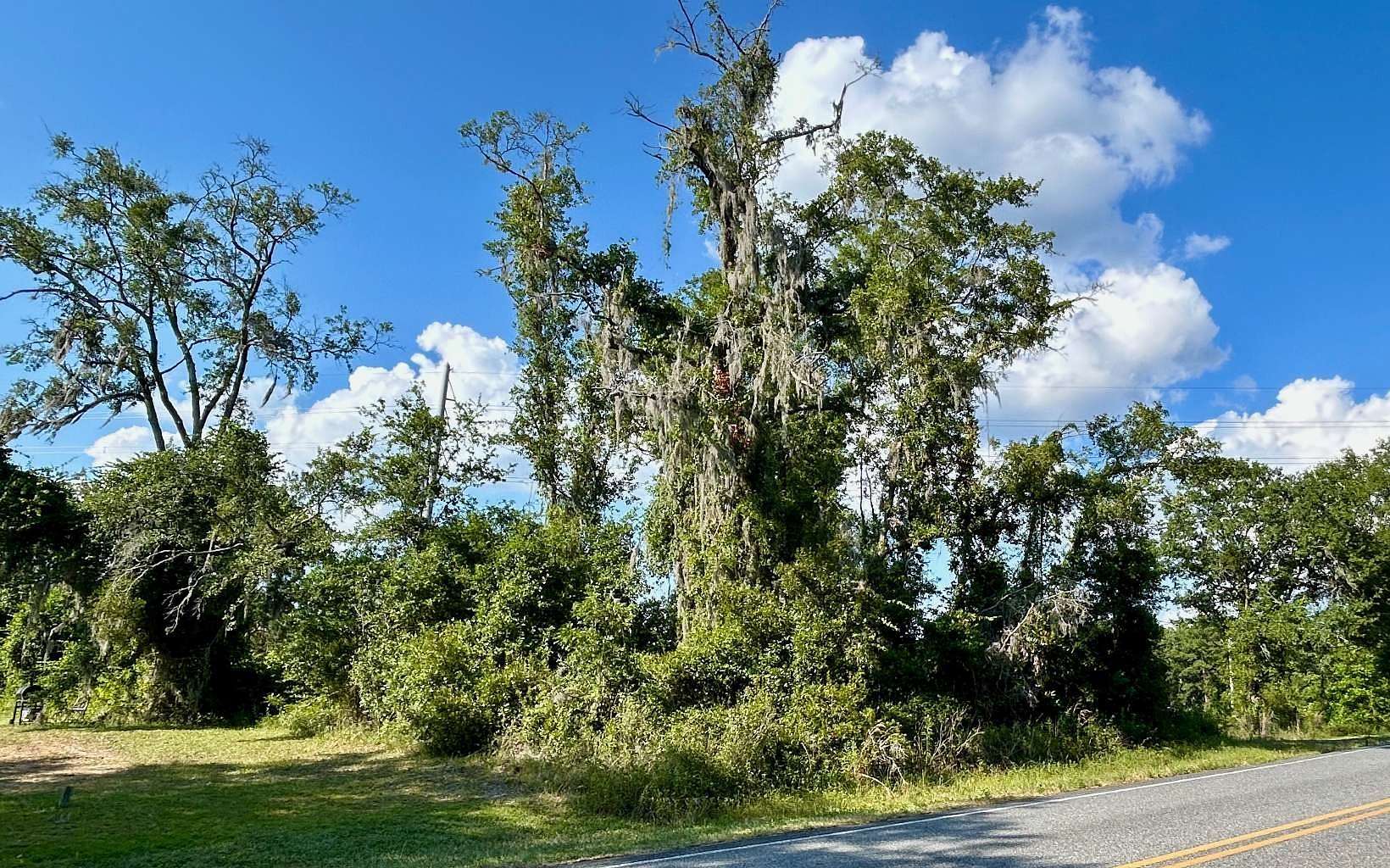 1 Acre of Improved Residential Land for Sale in Lake City, Florida