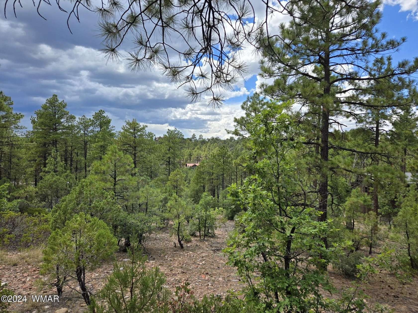 1.09 Acres of Residential Land for Sale in Show Low, Arizona