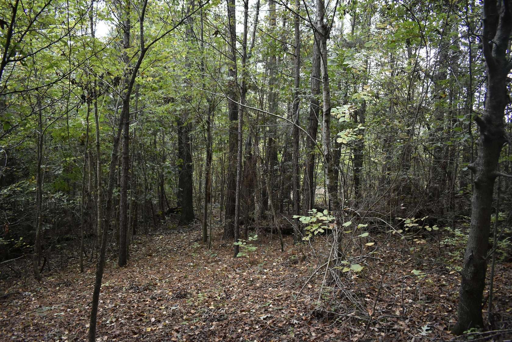 1.11 Acres of Residential Land for Sale in Flintstone, Georgia