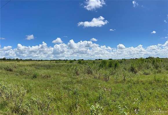 9.37 Acres of Residential Land for Sale in Edinburg, Texas