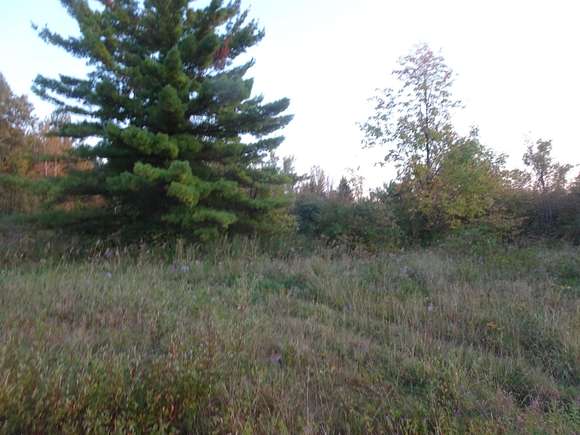 4 Acres of Land for Sale in Constable, New York