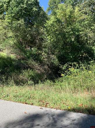 0.38 Acres of Residential Land for Sale in Midway, Arkansas