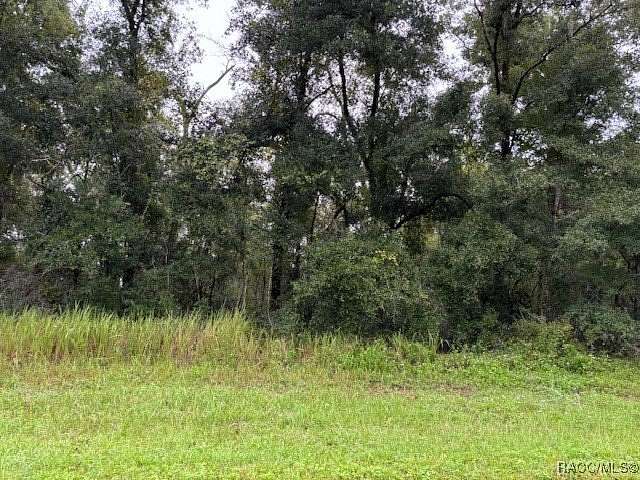 0.35 Acres of Residential Land for Sale in Citrus Springs, Florida