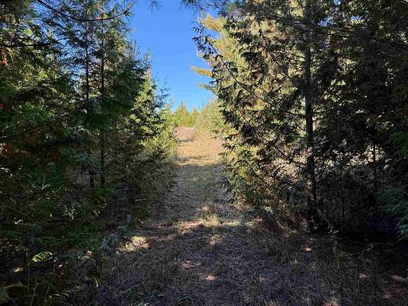 20 Acres of Recreational Land for Sale in Charlevoix, Michigan