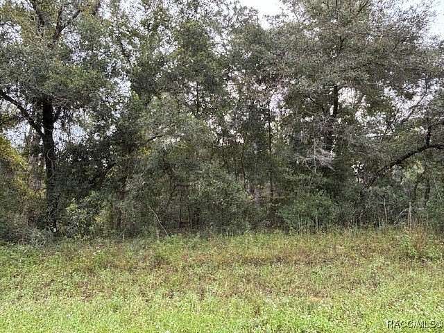 0.28 Acres of Residential Land for Sale in Citrus Springs, Florida