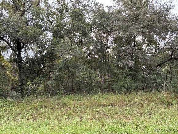 0.28 Acres of Residential Land for Sale in Citrus Springs, Florida