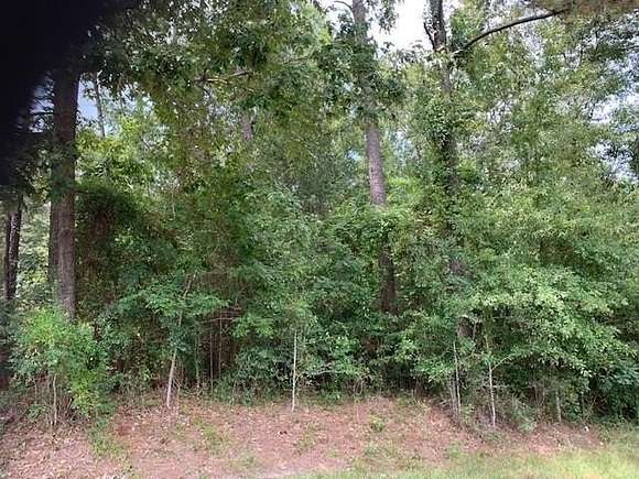 0.36 Acres of Residential Land for Sale in Carriere, Mississippi