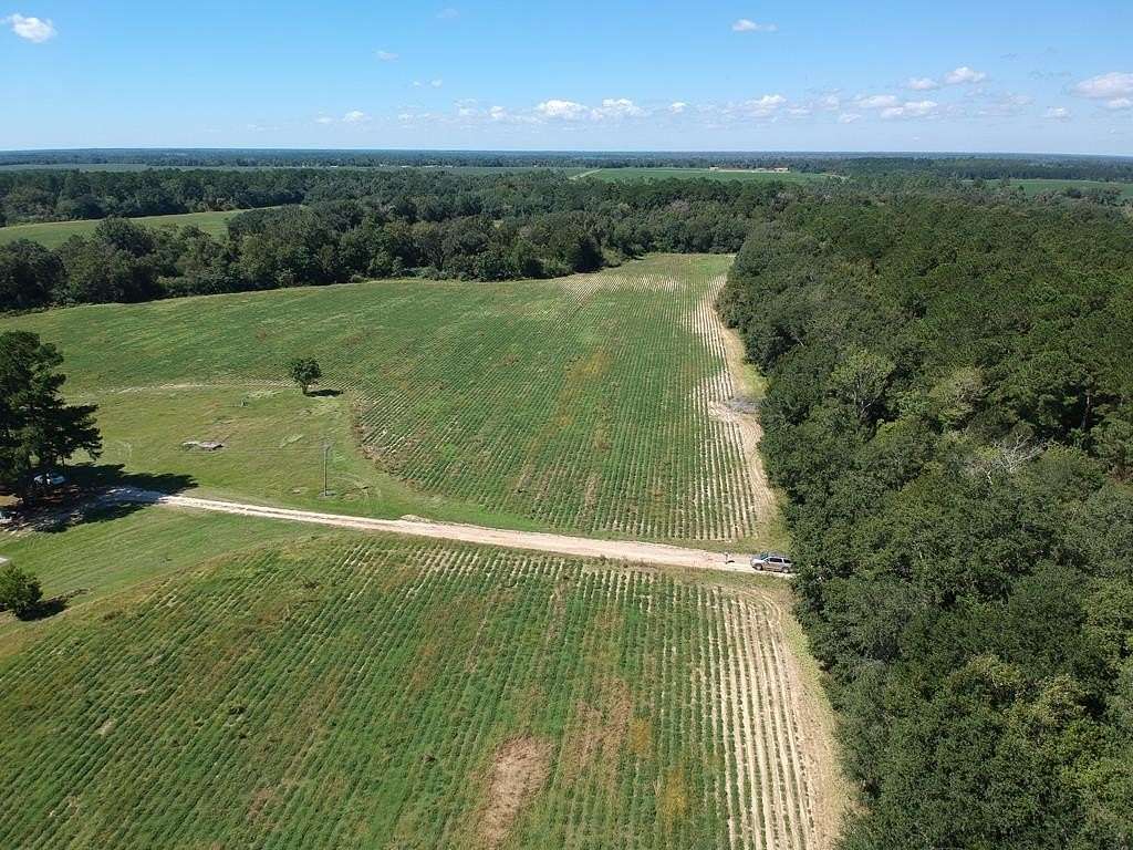 30 Acres of Recreational Land & Farm for Sale in Damascus, Georgia