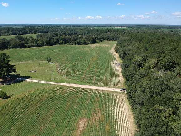 30 Acres of Recreational Land & Farm for Sale in Damascus, Georgia