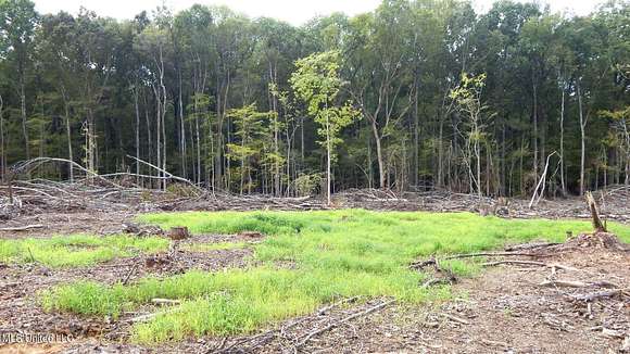 49 Acres of Recreational Land & Farm for Sale in Tillatoba, Mississippi