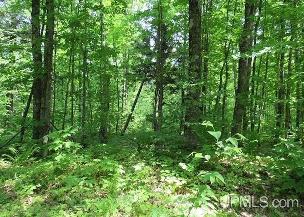 119 Acres of Recreational Land & Farm for Sale in L'Anse, Michigan