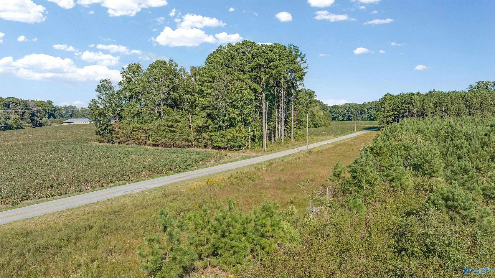 60 Acres of Land for Sale in Centre, Alabama