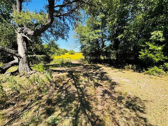 110.5 Acres of Recreational Land for Sale in Dodd City, Texas