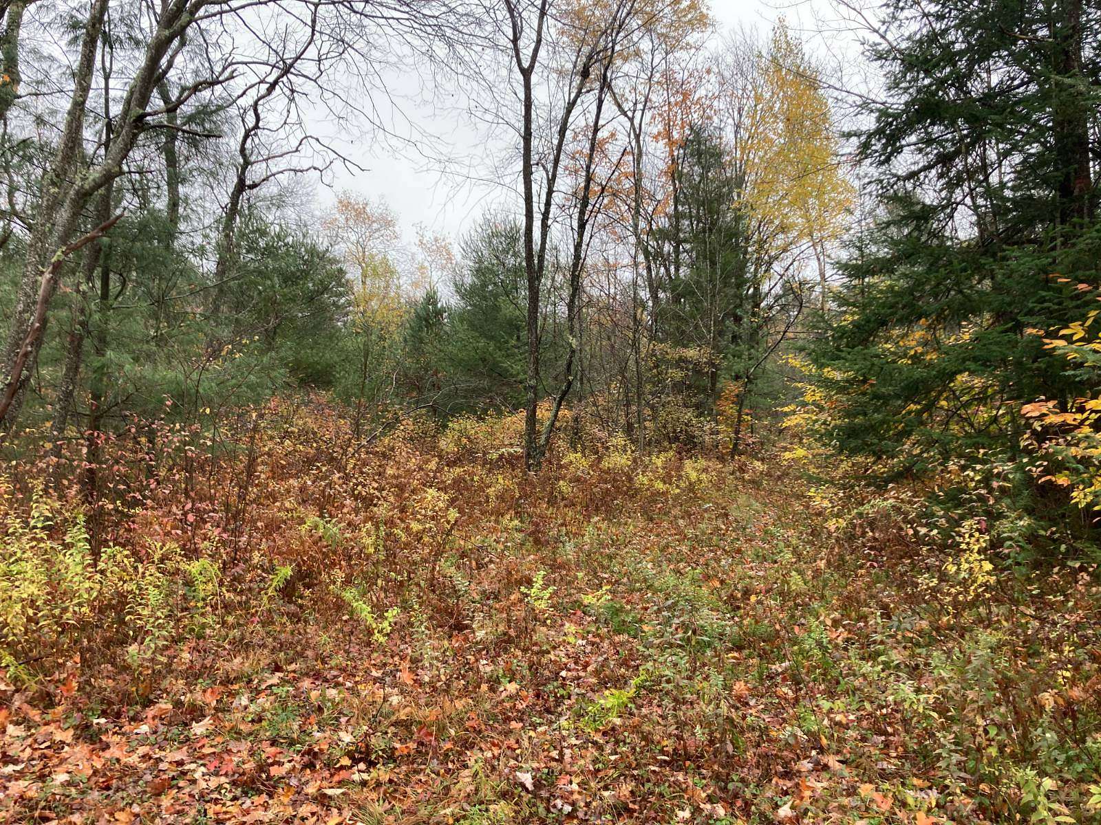 6.2 Acres of Residential Land for Sale in Cold Brook, New York