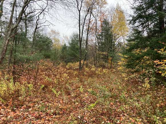 6.2 Acres of Residential Land for Sale in Cold Brook, New York