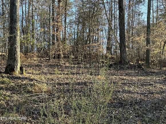 1.24 Acres of Residential Land for Sale in Kodak, Tennessee