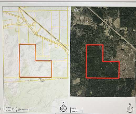 120 Acres of Recreational Land for Sale in Taylorsville, Mississippi