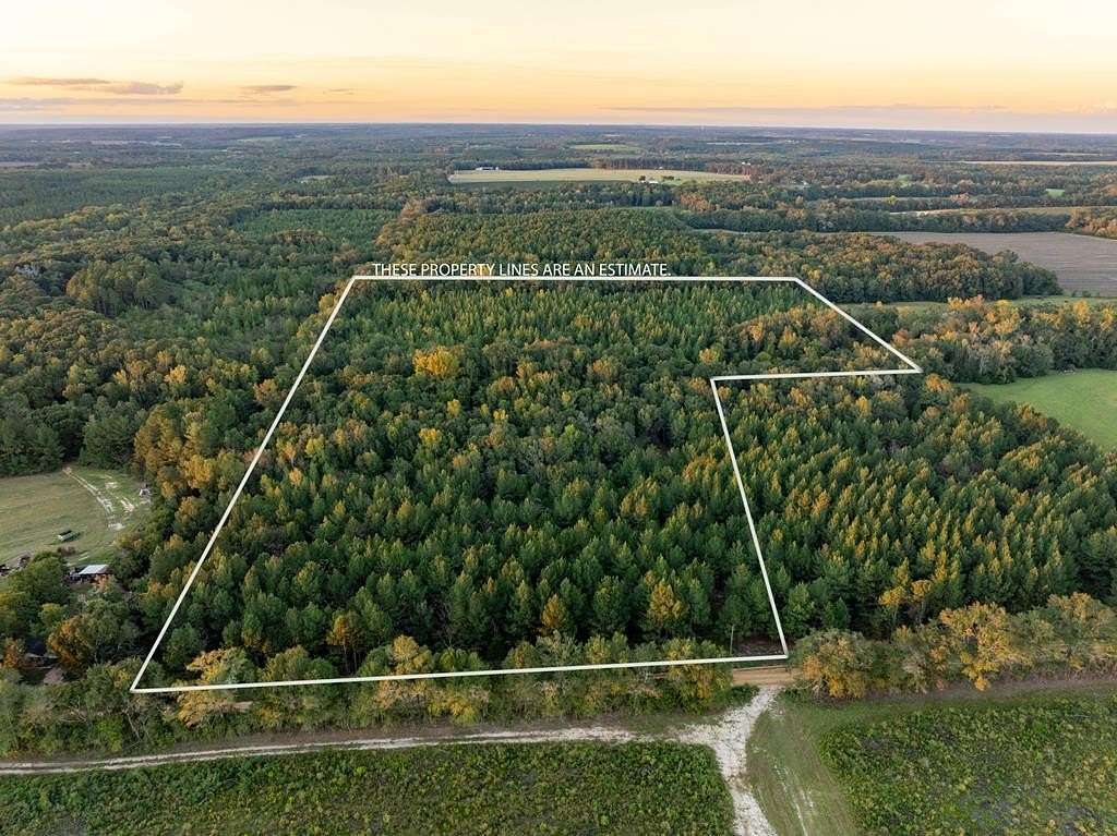 25 Acres of Recreational Land for Sale in Hartford, Alabama