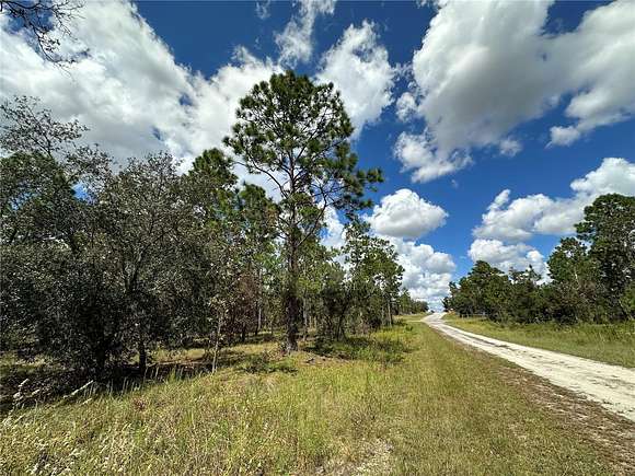 0.25 Acres of Residential Land for Sale in Dunnellon, Florida