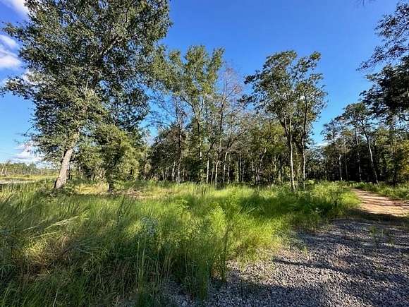 8.36 Acres of Residential Land for Sale in Axis, Alabama