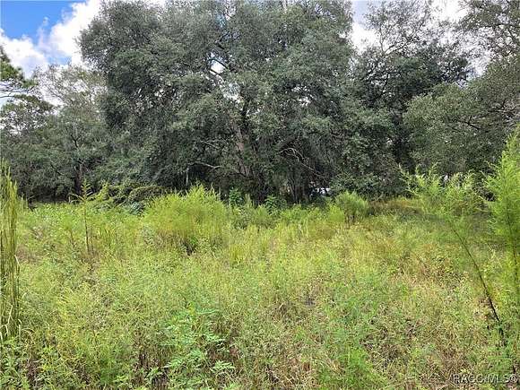 0.57 Acres of Residential Land for Sale in Lecanto, Florida