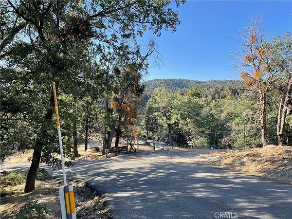 0.05 Acres of Land for Sale in Angelus Oaks, California