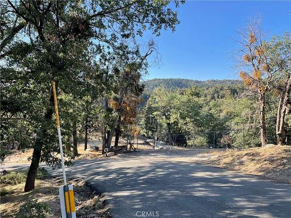 0.05 Acres of Land for Sale in Angelus Oaks, California