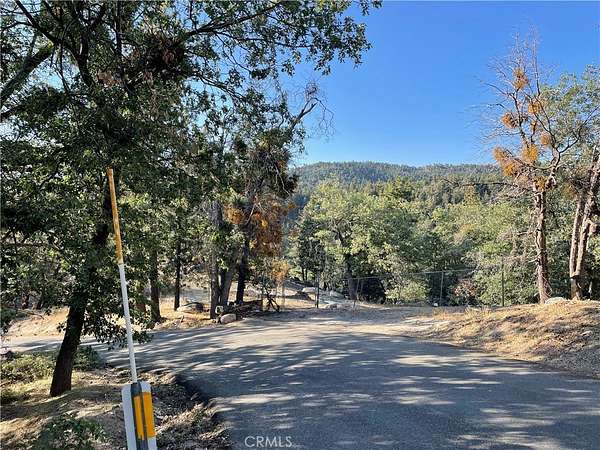 0.05 Acres of Land for Sale in Angelus Oaks, California