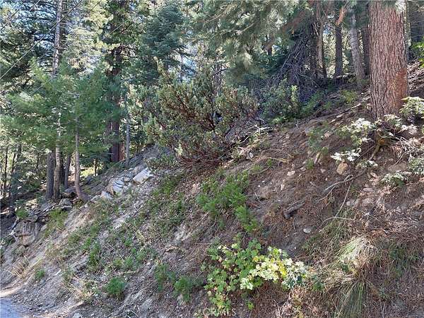 0.08 Acres of Land for Sale in Twin Peaks, California