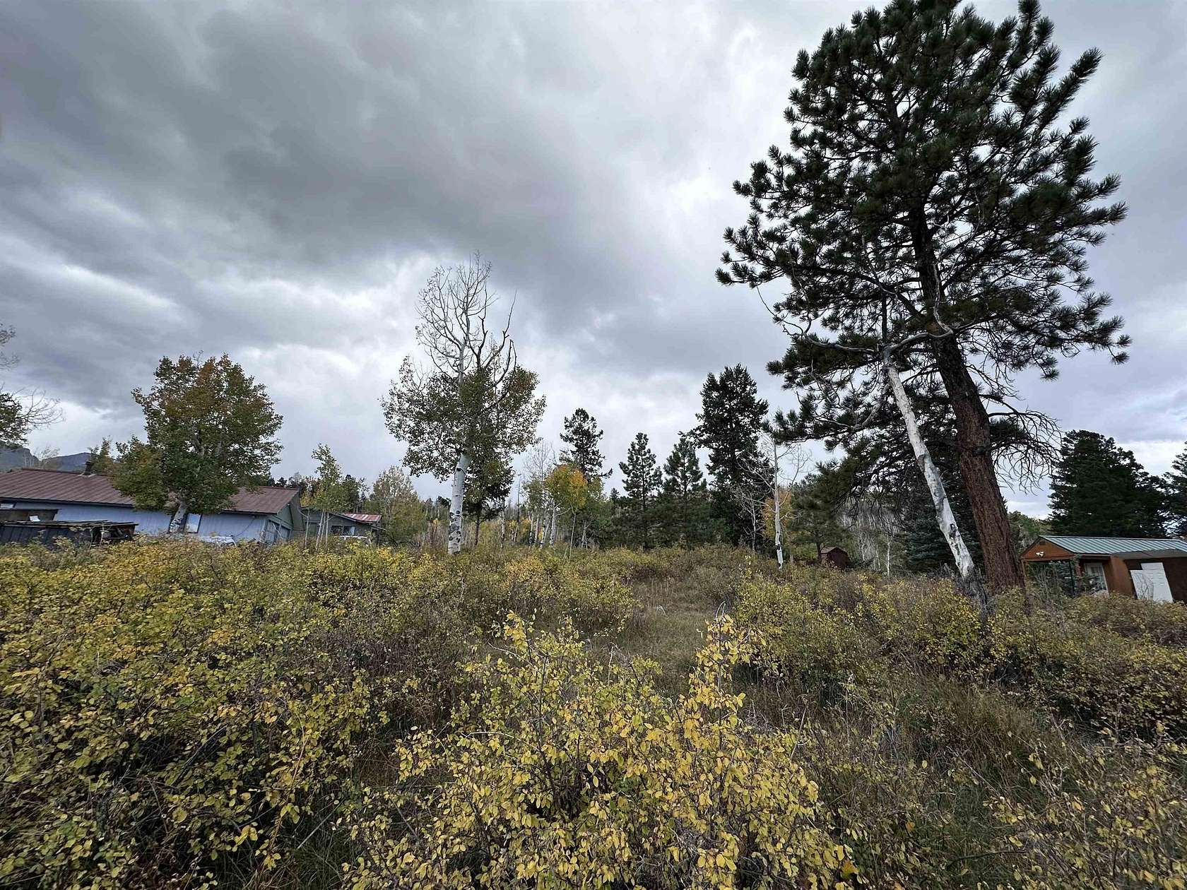 0.5 Acres of Residential Land for Sale in Ridgway, Colorado