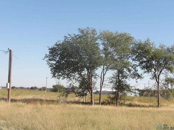 2 Acres of Residential Land for Sale in Portales, New Mexico