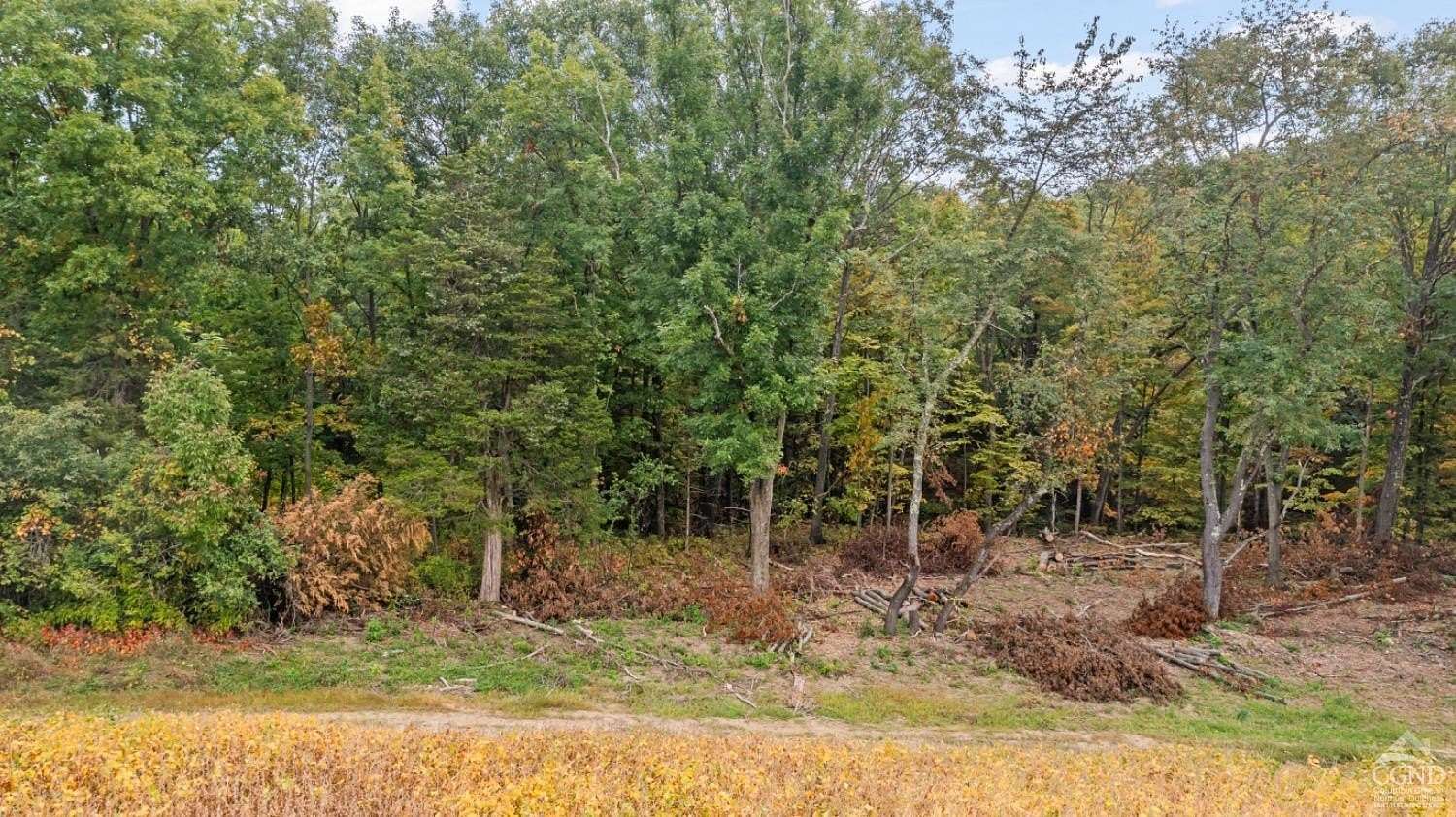 5.79 Acres of Residential Land for Sale in Germantown, New York