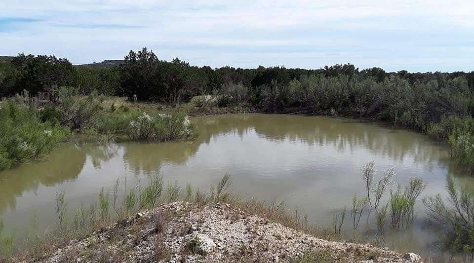 11 Acres of Land for Sale in Blanco, Texas