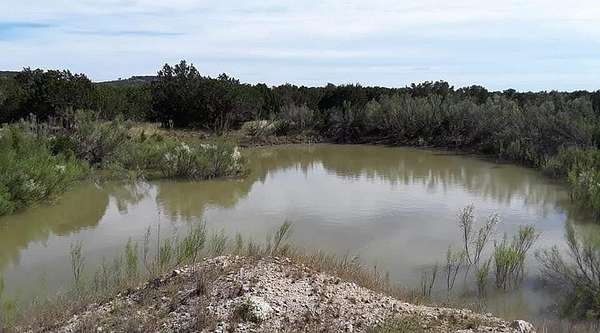 11 Acres of Land for Sale in Blanco, Texas