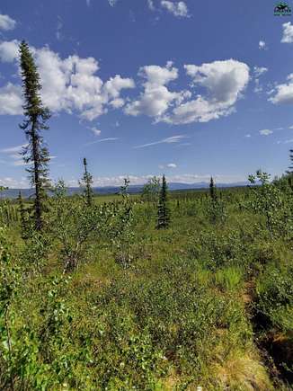 5 Acres of Recreational Land for Sale in Healy, Alaska